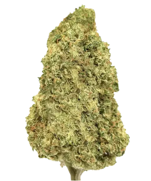 Scary Cherry - Light Assist Flower (Indica-Heavy Hybrid)