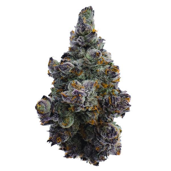 Lemon-Z - Indoor Exotic Flower (Hybrid)