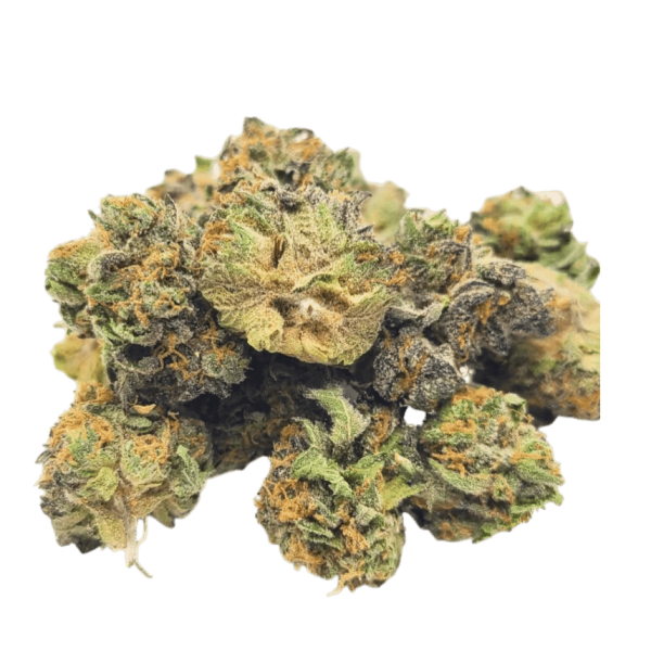 Facetz Light Assist Smalls (Hybrid)